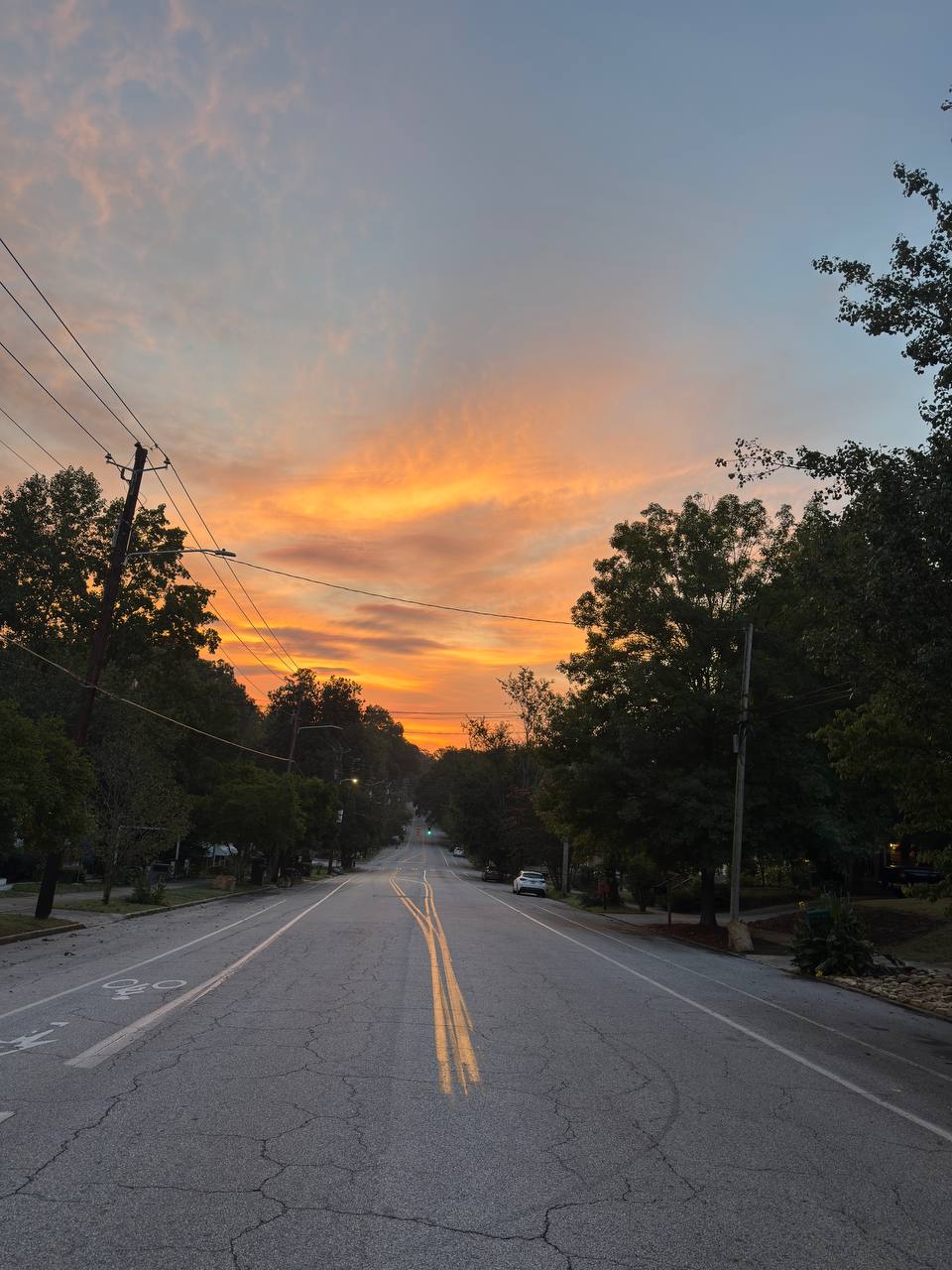 A tree-lined residential street at golden hour
