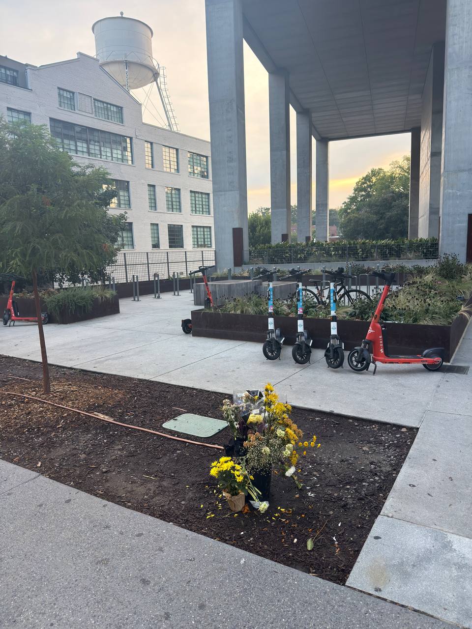 A floral memorial of dead flowers on a dirt patch