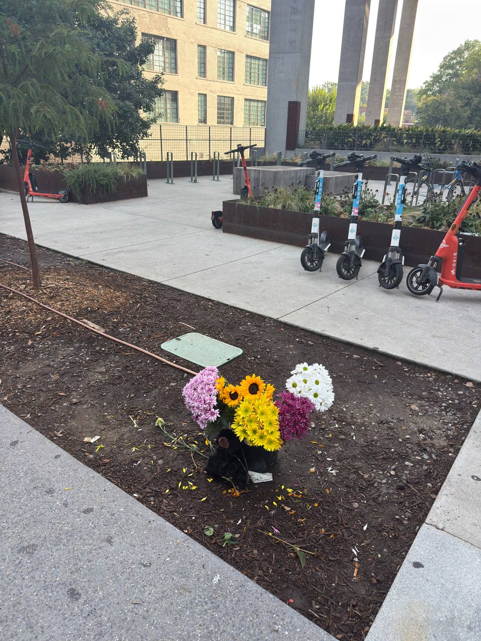 A fresh bouquet of flowers in the same plaza spot